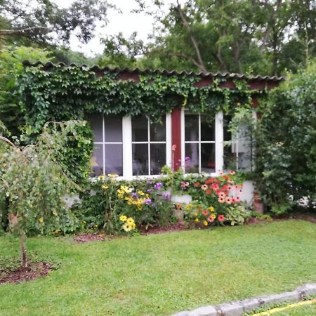 Loosdorf Ferienhaeuschen Gruberヴィラ エクステリア 写真